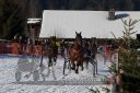 20170129_r05_033.jpg