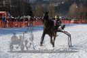 20170129_r05_047.jpg