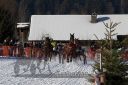 20170129_r05_050.jpg