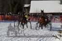 20170129_r05_054.jpg