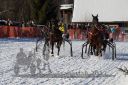20170129_r05_055.jpg
