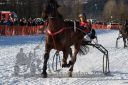 Dateiname=20170129_r05_084.jpg
Dateigröße=367KB
Abmessungen: 750x500
hinzugefügt am: 30. Januar 2017 20170129_r05_084.jpg