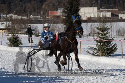 20170129_r06_022.jpg