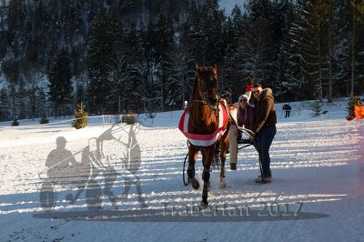 20170129_r06_091.jpg