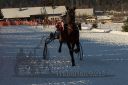 Dateiname=20170129_r07_020.jpg
Dateigröße=330KB
Abmessungen: 750x500
hinzugefügt am: 30. Januar 2017 20170129_r07_020.jpg