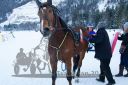 Dateiname=20170129_r07_097.jpg
Dateigröße=310KB
Abmessungen: 750x500
hinzugefügt am: 30. Januar 2017 20170129_r07_097.jpg
