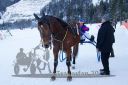 Dateiname=20170129_r07_098.jpg
Dateigröße=310KB
Abmessungen: 750x500
hinzugefügt am: 30. Januar 2017 20170129_r07_098.jpg
