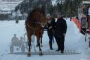 Dateiname=20170129_r07_105.jpg
Dateigröße=316KB
Abmessungen: 750x500
hinzugefügt am: 30. Januar 2017 20170129_r07_105.jpg