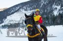 Dateiname=20170129_r08_077.jpg
Dateigröße=274KB
Abmessungen: 750x500
hinzugefügt am: 30. Januar 2017 20170129_r08_077.jpg