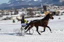 Dateiname=20170129_fbj_t1_015.jpg
Dateigröße=126KB
Abmessungen: 750x500
hinzugefügt am: 31. Januar 2017 20170129_fbj_t1_015.jpg