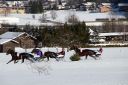 Dateiname=20170129_fbj_t3_021.jpg
Dateigröße=120KB
Abmessungen: 750x500
hinzugefügt am: 31. Januar 2017 20170129_fbj_t3_021.jpg