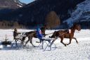 Dateiname=20170129_fbj_t3_025.jpg
Dateigröße=123KB
Abmessungen: 750x500
hinzugefügt am: 31. Januar 2017 20170129_fbj_t3_025.jpg