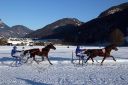 Dateiname=20170129_fbj_t3_058.jpg
Dateigröße=121KB
Abmessungen: 750x500
hinzugefügt am: 31. Januar 2017 20170129_fbj_t3_058.jpg