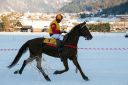 Dateiname=20170129_fbj_t4_007.jpg
Dateigröße=96KB
Abmessungen: 750x500
hinzugefügt am: 31. Januar 2017 20170129_fbj_t4_007.jpg