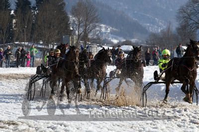20170205_r03_056.jpg