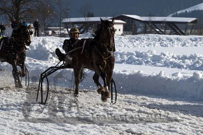 20170205_r03_081.jpg