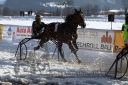 20170205_r03_042.jpg