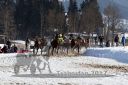 20170205_r03_046.jpg