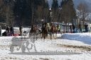 20170205_r03_070.jpg