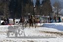 Dateiname=20170205_r03_071.jpg
Dateigröße=165KB
Abmessungen: 750x500
hinzugefügt am: 06. Februar 2017 20170205_r03_071.jpg