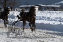 20170205_r03_081.jpg
