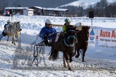 20170205_r04_074.jpg