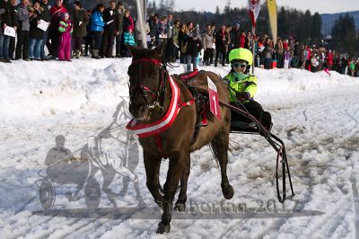 20170205_r04_100.jpg