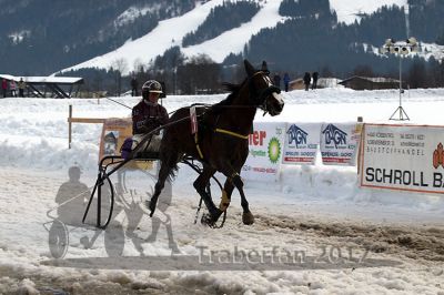 20170205_r05_067.jpg
