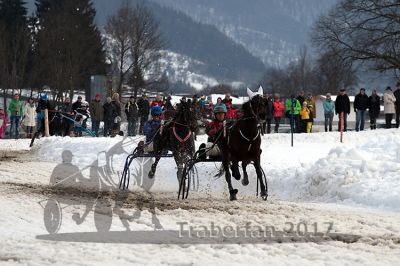 20170205_r05_070.jpg