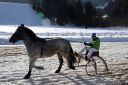 Dateiname=20170205_ja_fb02_027.jpg
Dateigröße=129KB
Abmessungen: 750x500
hinzugefügt am: 07. Februar 2017 20170205_ja_fb02_027.jpg