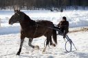 Dateiname=20170205_ja_fb02_029.jpg
Dateigröße=117KB
Abmessungen: 750x500
hinzugefügt am: 07. Februar 2017 20170205_ja_fb02_029.jpg