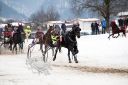 Dateiname=20170205_ja_fb05_007.jpg
Dateigröße=109KB
Abmessungen: 750x500
hinzugefügt am: 07. Februar 2017 20170205_ja_fb05_007.jpg