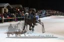 Dateiname=20170210_r03_009.jpg
Dateigröße=81KB
Abmessungen: 750x500
hinzugefügt am: 11. Februar 2017 20170210_r03_009.jpg