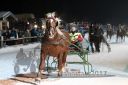 Dateiname=20170210_r07_031.jpg
Dateigröße=99KB
Abmessungen: 750x500
hinzugefügt am: 11. Februar 2017 20170210_r07_031.jpg