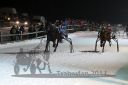 Dateiname=20170210_r08_084.jpg
Dateigröße=90KB
Abmessungen: 750x500
hinzugefügt am: 11. Februar 2017 20170210_r08_084.jpg
