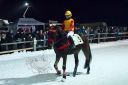 Dateiname=20170210_j04_017.jpg
Dateigröße=91KB
Abmessungen: 750x500
hinzugefügt am: 11. Februar 2017 20170210_j04_017.jpg