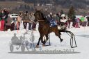 Dateiname=20170212_r02_017.jpg
Dateigröße=144KB
Abmessungen: 750x500
hinzugefügt am: 14. Februar 2017 20170212_r02_017.jpg
