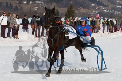 20170212_r04_012.jpg