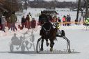 Dateiname=20170212_r04_016.jpg
Dateigröße=133KB
Abmessungen: 750x500
hinzugefügt am: 14. Februar 2017 20170212_r04_016.jpg