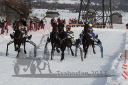 Dateiname=20170212_r04_037.jpg
Dateigröße=157KB
Abmessungen: 750x500
hinzugefügt am: 14. Februar 2017 20170212_r04_037.jpg