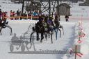 Dateiname=20170212_r04_062.jpg
Dateigröße=139KB
Abmessungen: 750x500
hinzugefügt am: 14. Februar 2017 20170212_r04_062.jpg