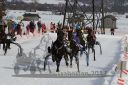 Dateiname=20170212_r04_064.jpg
Dateigröße=157KB
Abmessungen: 750x500
hinzugefügt am: 14. Februar 2017 20170212_r04_064.jpg