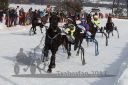 Dateiname=20170212_r04_068.jpg
Dateigröße=158KB
Abmessungen: 750x500
hinzugefügt am: 14. Februar 2017 20170212_r04_068.jpg
