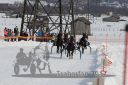 Dateiname=20170212_r04_076.jpg
Dateigröße=146KB
Abmessungen: 750x500
hinzugefügt am: 14. Februar 2017 20170212_r04_076.jpg