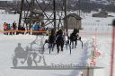 Dateiname=20170212_r04_078.jpg
Dateigröße=144KB
Abmessungen: 750x500
hinzugefügt am: 14. Februar 2017 20170212_r04_078.jpg