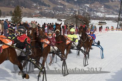 20170212_r06_064.jpg