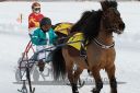 Dateiname=20170212_r07_066.jpg
Dateigröße=112KB
Abmessungen: 750x500
hinzugefügt am: 14. Februar 2017 20170212_r07_066.jpg