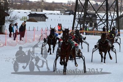 20170212_r08_084.jpg
