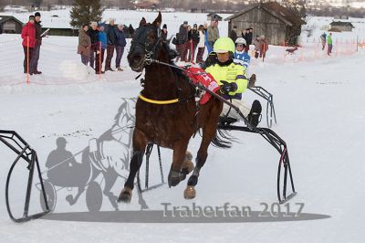 20170212_r10_063.jpg