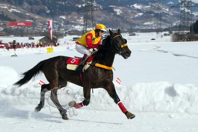 20170212_ja2_013.jpg